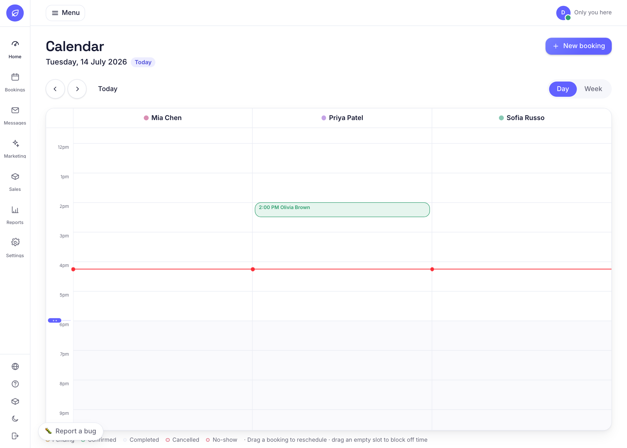 The calendar in day view with a column per team member and a booking on the timeline