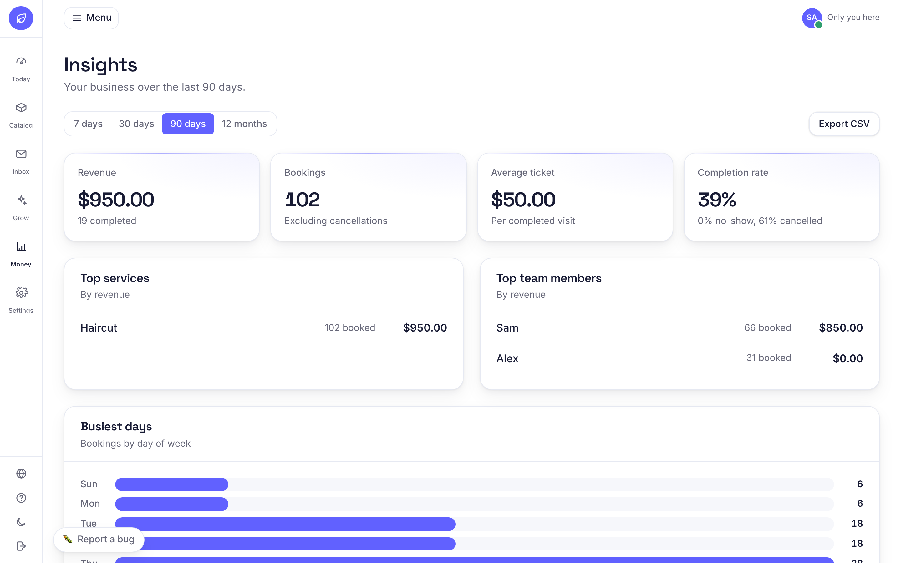 The Insights dashboard: revenue, bookings, average ticket and completion-rate cards, a top-services and top-team list, and a busiest-days chart, over a chosen period
